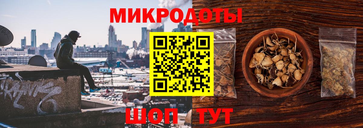 Псилоцибиновые грибы мицелий Муравленко